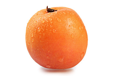 Similar image 7637024