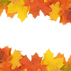 Similar image 7637028