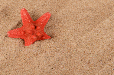 Similar image 7637036