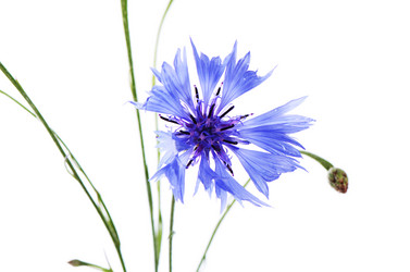 Similar image 7637039