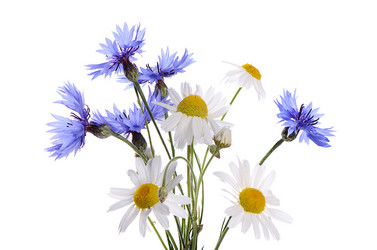 Similar image 7637042