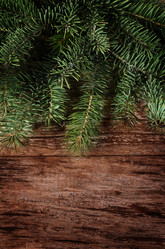 Similar image 7637050