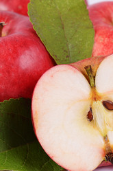 Similar image 7637056