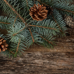 Similar image 7637058