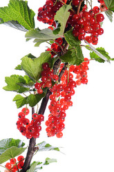 Similar image 7637063