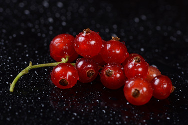 Similar image 7637073