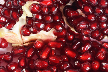 Similar image 7637089