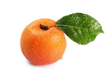 Similar image 7637118