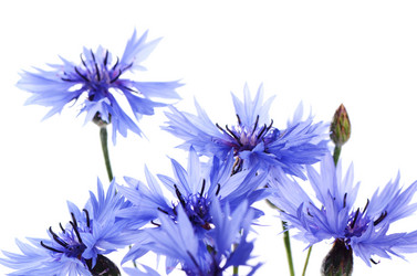 Similar image 7637142