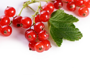 Similar image 7637153