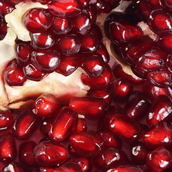 Similar image 7637166