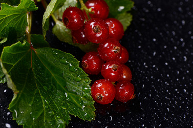 Similar image 7637173