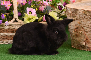 Similar image 7637175