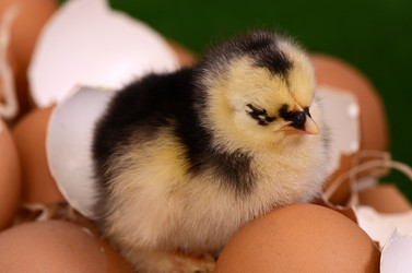 Similar image 7637176