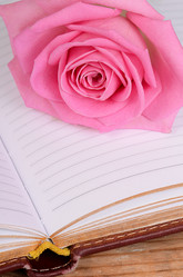 Similar image 7637179