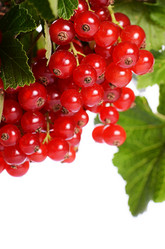 Similar image 7637205