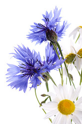 Similar image 7637219