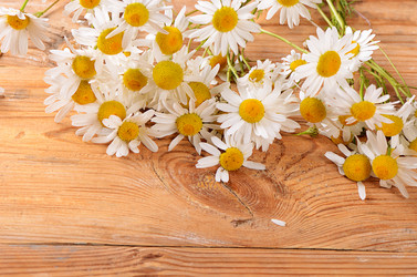 Similar image 7637232