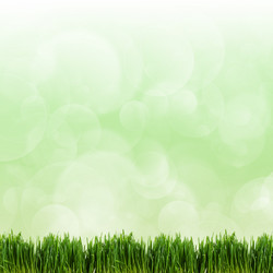 Similar image 7637264