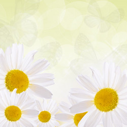 Similar image 7637266