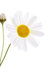 Similar image 7637267