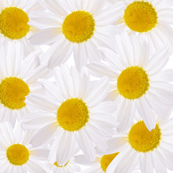 Similar image 7637268