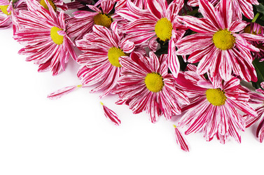 Similar image 7637269