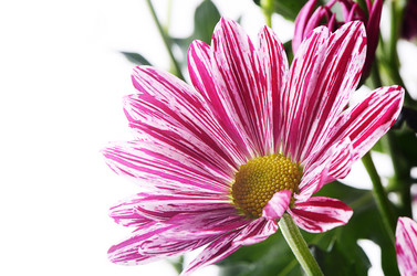 Similar image 7637277