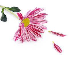 Similar image 7637278