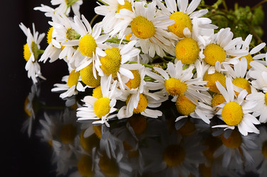 Similar image 7637291