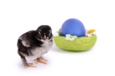 Similar image 7637292