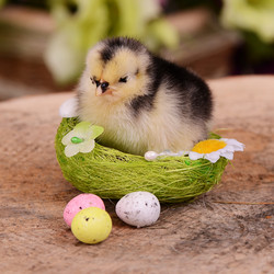 Similar image 7637293