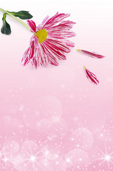 Similar image 7637295