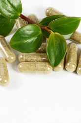 Similar image 7637298