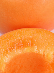 Similar image 7637303