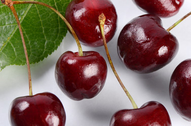 Similar image 7637306