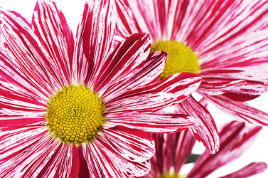 Similar image 7637311