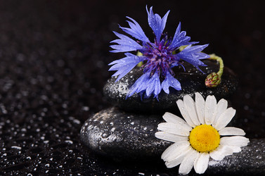 Similar image 7637316