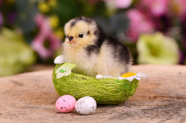 Similar image 7637341