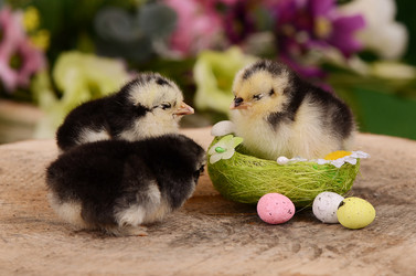 Similar image 7637342