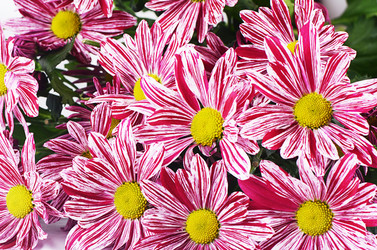 Similar image 7637361