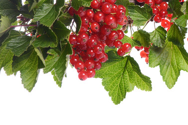 Similar image 7637364