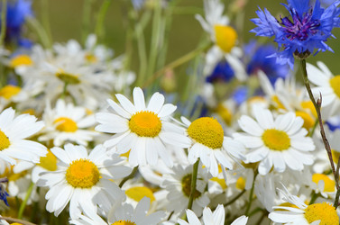 Similar image 7637365