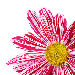 Similar image 7637389