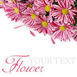 Similar image 7637398