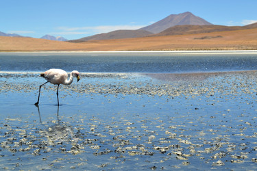 Similar image 7637449