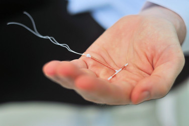 Similar image 7637537