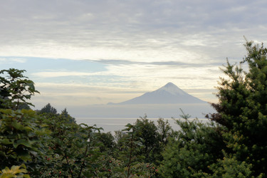 Similar image 7637549