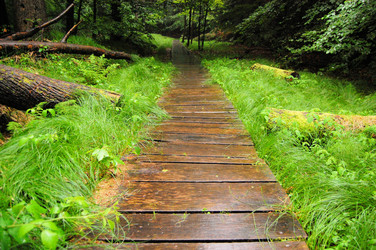 Similar image 7637604