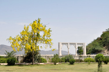 Similar image 7637704